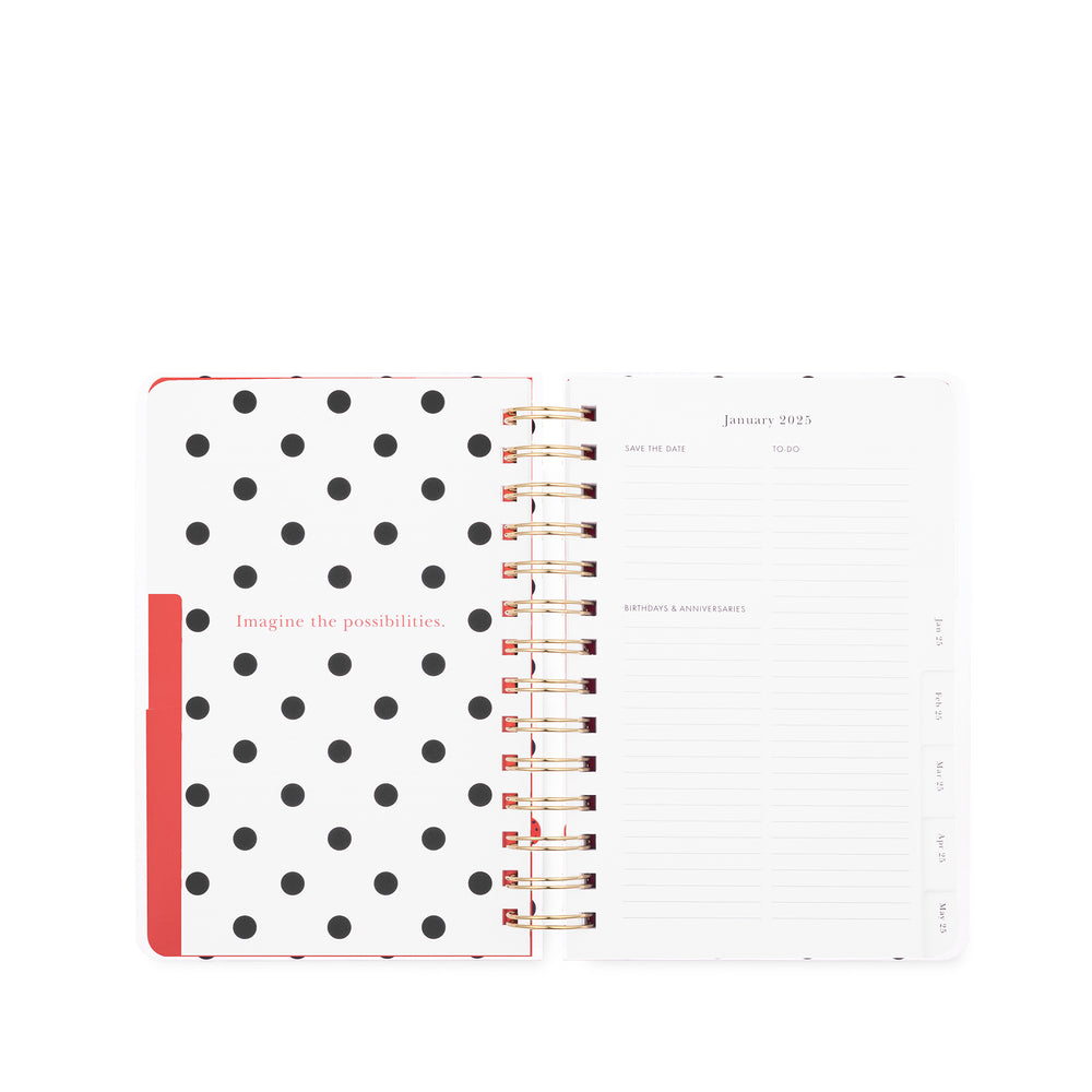 12 Month Medium Planner, Ladybug Dot