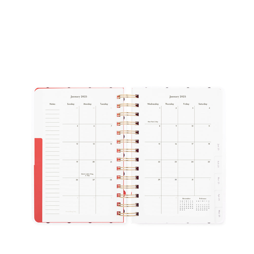 12 Month Medium Planner, Ladybug Dot