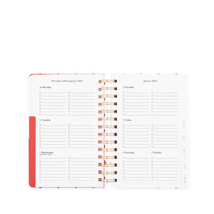 12 Month Medium Planner, Ladybug Dot