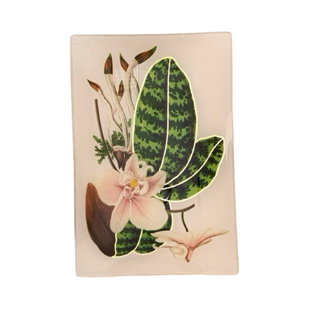 Butterfly and Botanical Glass Trinket Tray