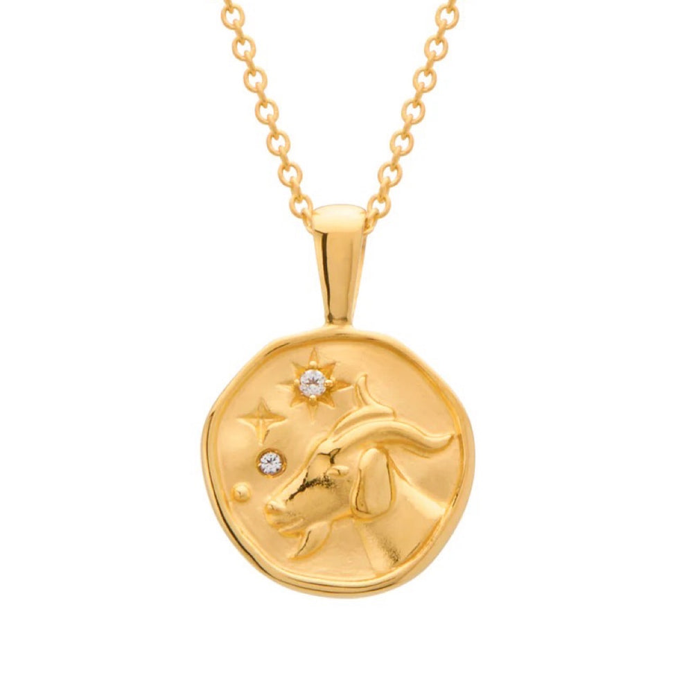 Capricorn Necklace