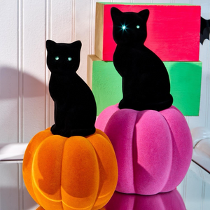 Pumpkin w/ Black Cat