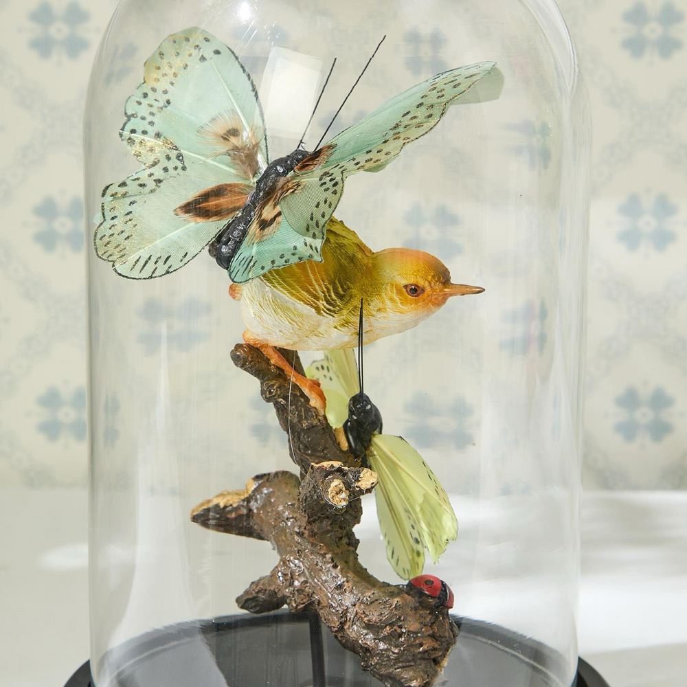 Flora and Fauna Butterfly and Bird Sculpture in Round Dome