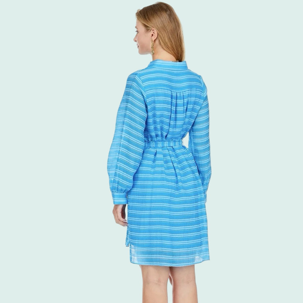 Blue Pocket Shirt Dress