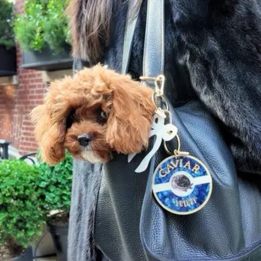 Caviar Bag Charm + Keychain