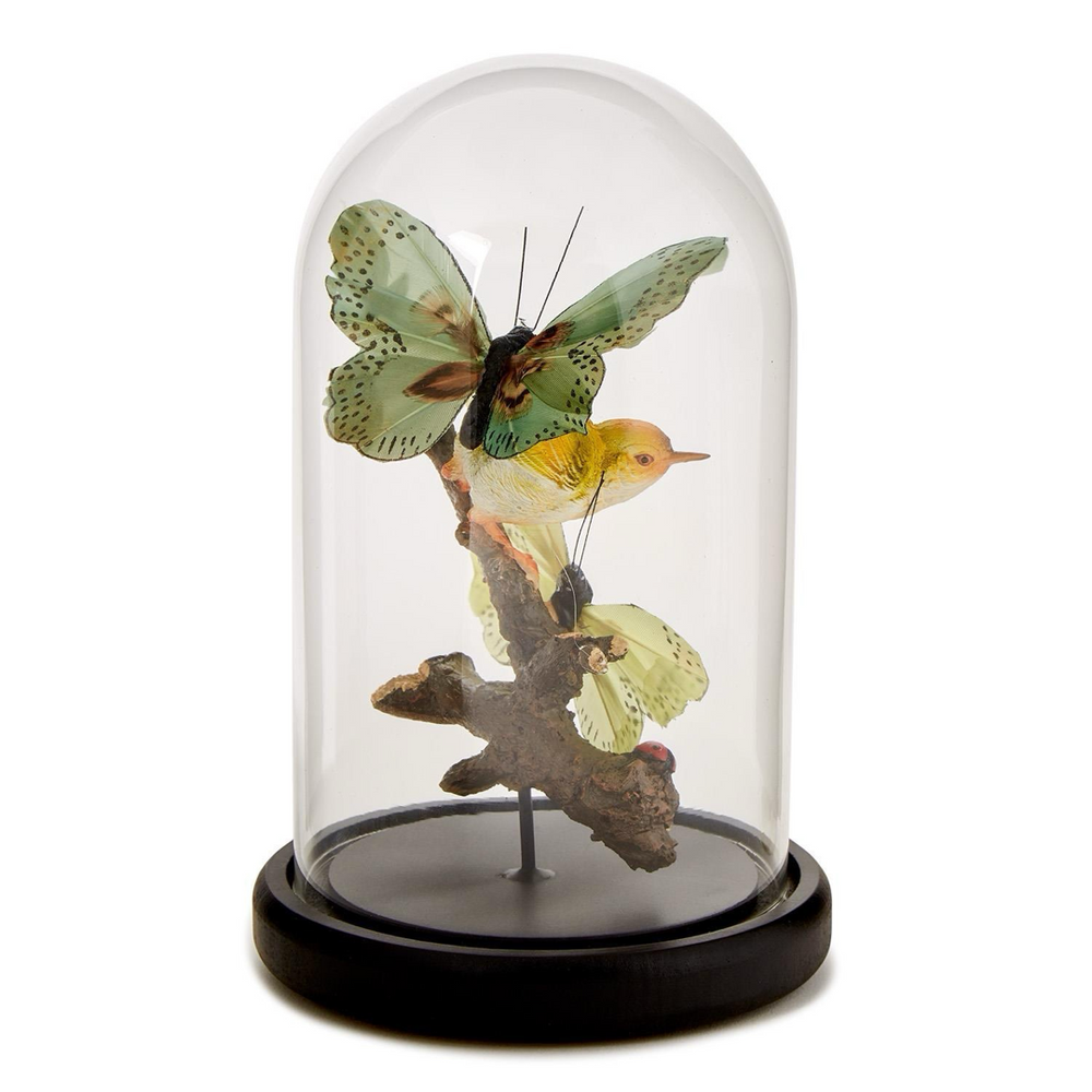 Flora and Fauna Butterfly and Bird Sculpture in Round Dome