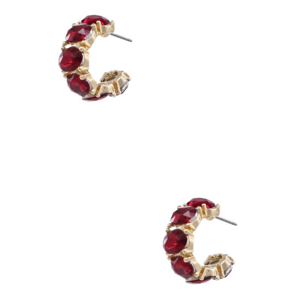 The Kate Glass Stone Earrings