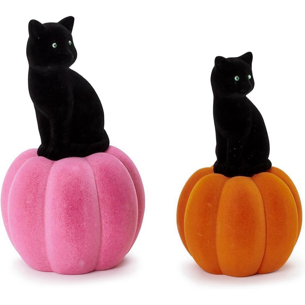 Pumpkin w/ Black Cat