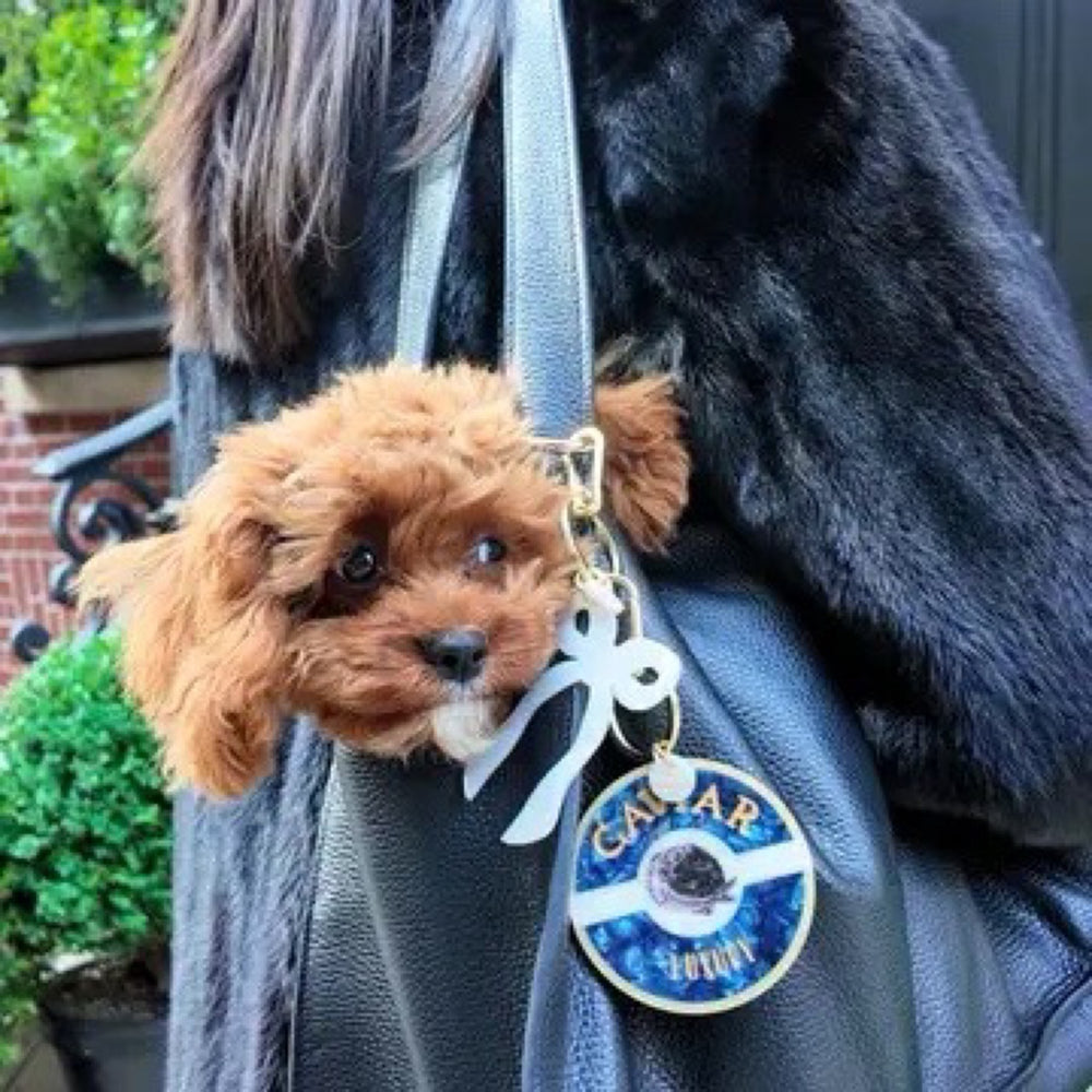 Caviar Bag Charm + Keychain