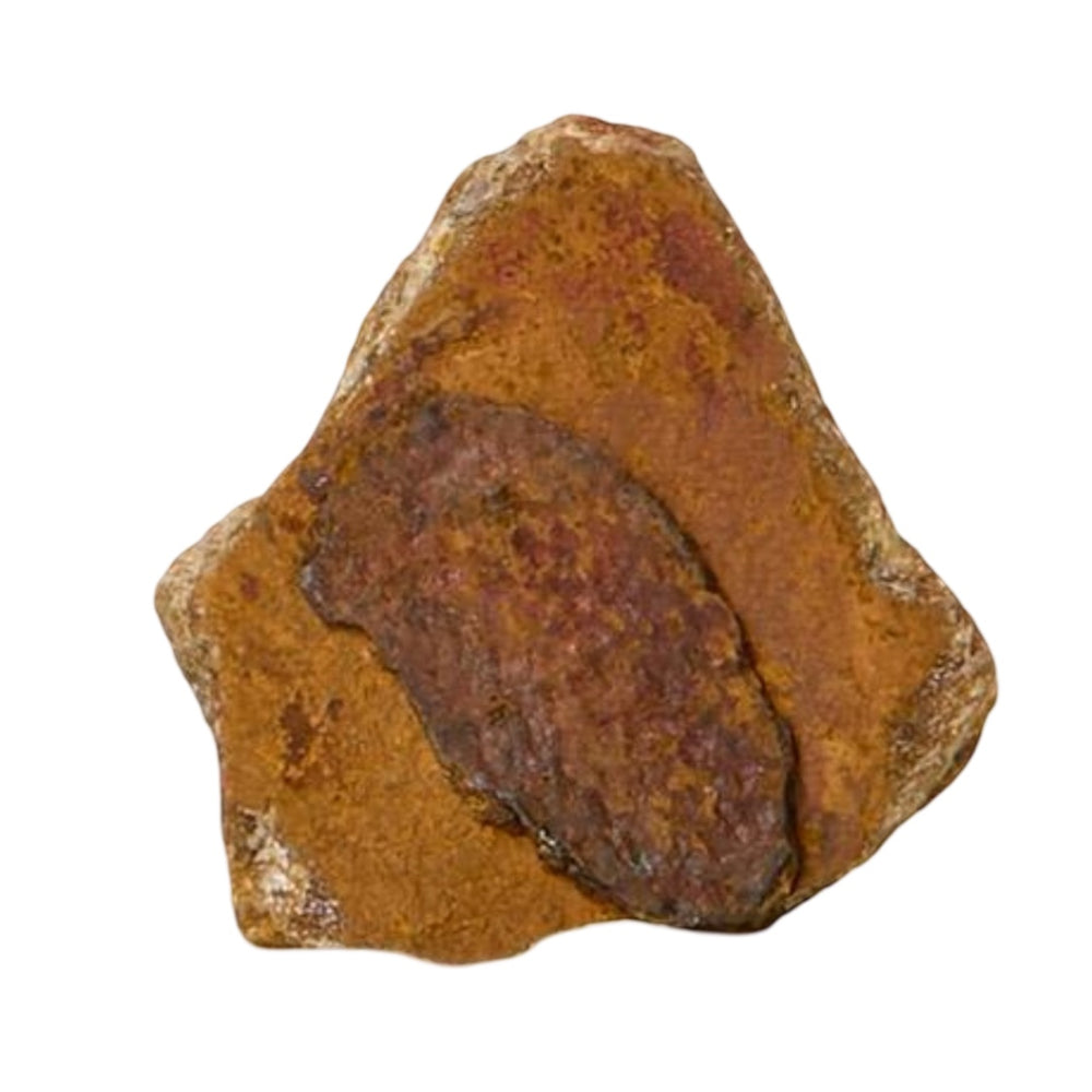 Crystal Matchbox with Saying