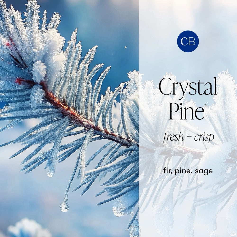 Crystal Pine Glimmer Hand Wash