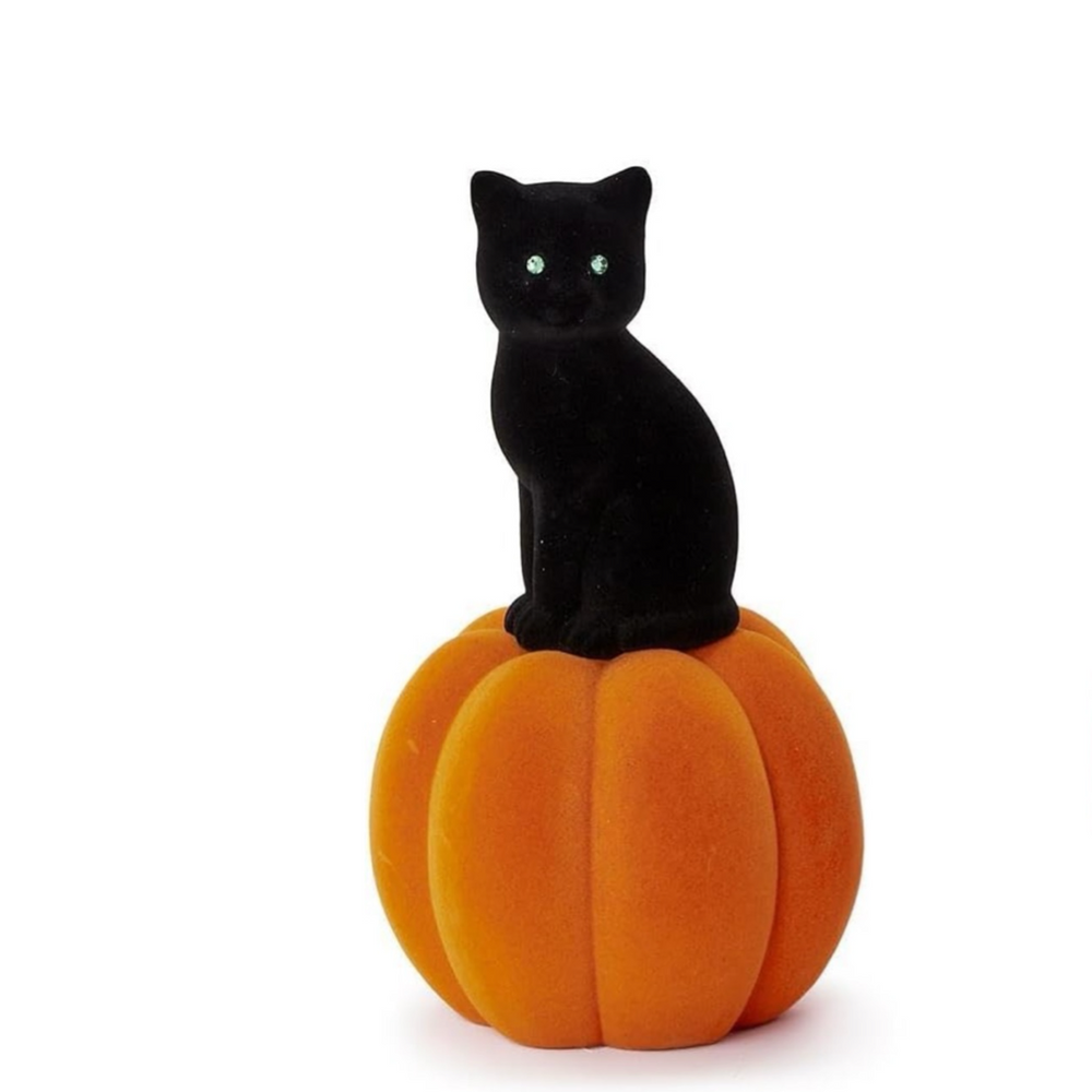 Pumpkin w/ Black Cat